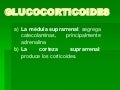Glucocorticoides