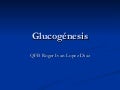 Glucogénesis