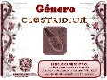 Genero Clostridium