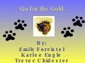 Go For The Gold