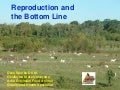 Beginning Farmer Livestock 2: Reproduction and the Bottom Line