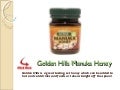 Golden Hills Manuka Honey