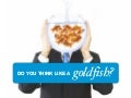 Do you think like a goldfish?