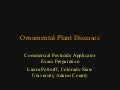 Good Class4 Ornamental Diseases