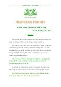 Good order, health and efficiency - on the building of the home