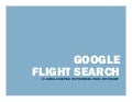 Google Flight Search 050312