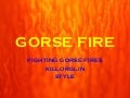 Gorse Fire