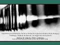 GP3 Piano Pedagogy Presentation- Transitioning from Student to Teacher in the Master-Apprentice Model of Piano Pedagogy