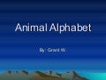 Grant Abc