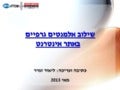 שילוב אלמנטים גרפיים באתר אינטרנט