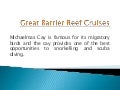 Great Barrier Reef Cruises 