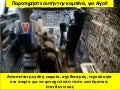 Greek  creacion o-coincidencia_natural1