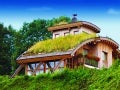 Green Roofs
