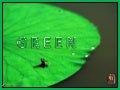 Green (V M )