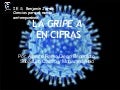 Gripe A H1N1 en cifras