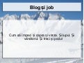 Groparu   blog și job