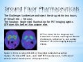 Ground flour pharma final presentation