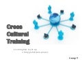 Cross Cultural Training - China, Italy, US, Brazil - Organizational Behavior Course