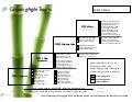 Growing Agile Teams Poster