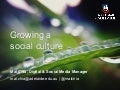 Growing a social culture final