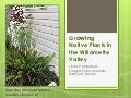 Growing native plants in the willamette valley
