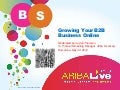 Growing Your B2B Business Online