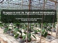 Singapore and its Agricultural Hinterlands
