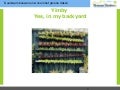 Yimby - Yes, in my back yard - Mobiele moestuin in uw achtertuin!