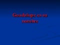 Guadalupe es su Nombre
