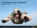 Guerrilla web project management