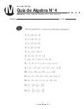 Guia algebra 04