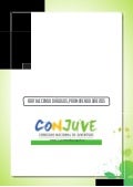 Guia de conselhos de Juventude 2010