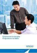 Guidebook Government Assistance Programmes - Businesses