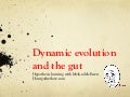 Dynamic Evolution and The Gut