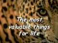 The most valuable things for life