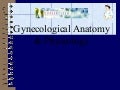 Gynecological Anatomy & Physiology