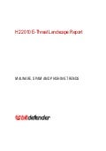 H2 2010 E-Threat Landscape Report 