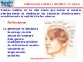 Habitos que da an el cerebro y la salud