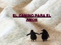 Hacia el amor