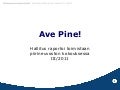Hallitusraportti pine iii 2011