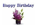 Happy birthday