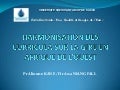 Harmonisation des curricula sur la gire en afrique de l ouest   pr alioune kane  dr awa niang fall