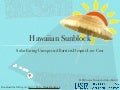Hawaiian Sunblock: Solar Facing Unexpected Barriers Despite Low Cost