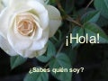 Hazalgoporalguien