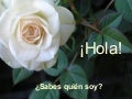 Haz Algo Por Alguien