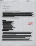 CAR Email 6.3.02 (t)