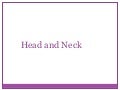 Head And Neck