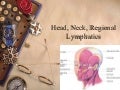 NurseReview.Org - Head Neck Regional Lymphatics