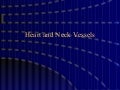 NurseReview.Org - Heart & Neck Vessels