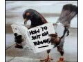 Height Of Revenge
